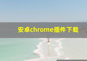 安卓chrome插件下载