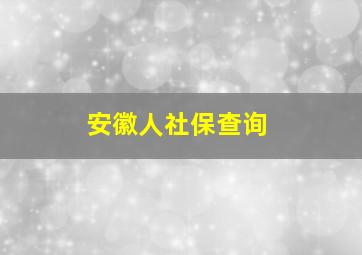 安徽人社保查询