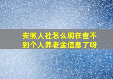 安徽人社怎么现在查不到个人养老金信息了呀