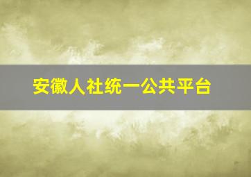 安徽人社统一公共平台