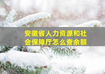 安徽省人力资源和社会保障厅怎么查余额