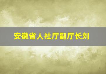 安徽省人社厅副厅长刘