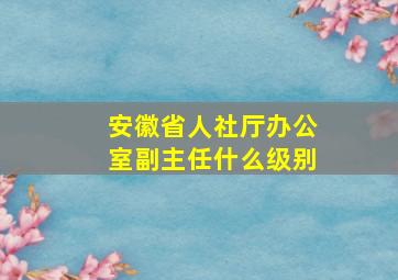 安徽省人社厅办公室副主任什么级别