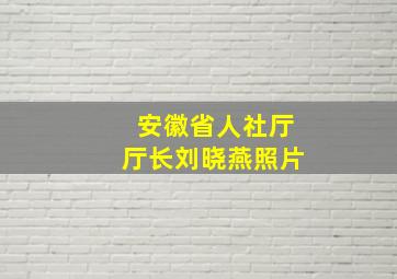 安徽省人社厅厅长刘晓燕照片