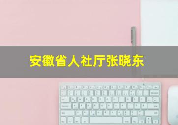 安徽省人社厅张晓东