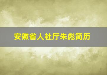 安徽省人社厅朱彪简历