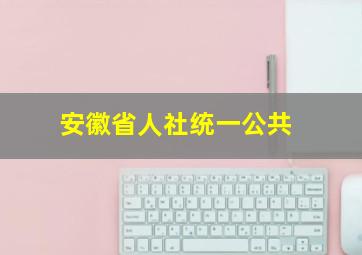 安徽省人社统一公共