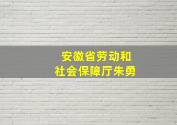 安徽省劳动和社会保障厅朱勇