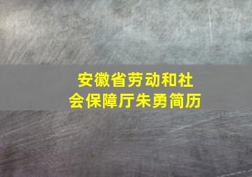 安徽省劳动和社会保障厅朱勇简历