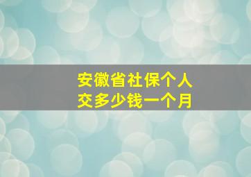 安徽省社保个人交多少钱一个月