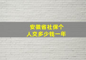 安徽省社保个人交多少钱一年