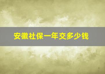 安徽社保一年交多少钱