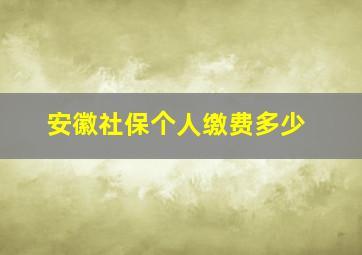 安徽社保个人缴费多少