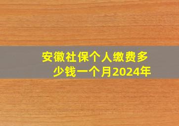 安徽社保个人缴费多少钱一个月2024年