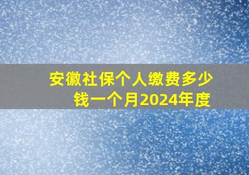 安徽社保个人缴费多少钱一个月2024年度