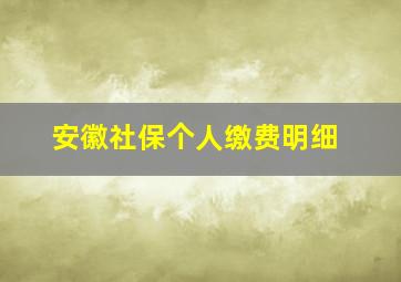 安徽社保个人缴费明细