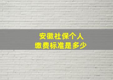 安徽社保个人缴费标准是多少