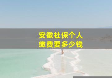 安徽社保个人缴费要多少钱