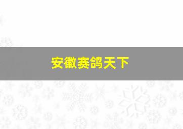 安徽赛鸽天下