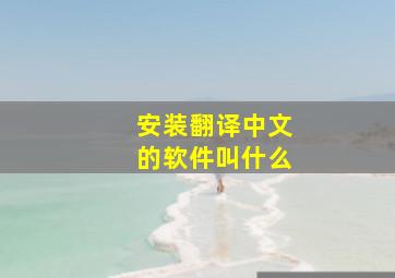 安装翻译中文的软件叫什么