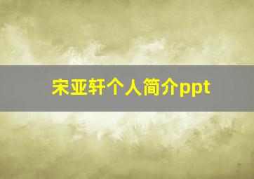 宋亚轩个人简介ppt