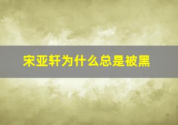 宋亚轩为什么总是被黑