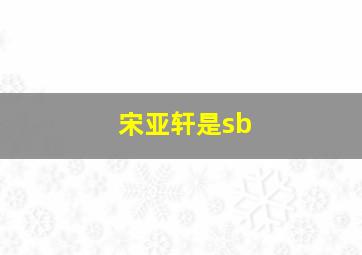 宋亚轩是sb