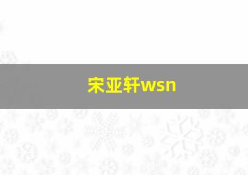 宋亚轩wsn