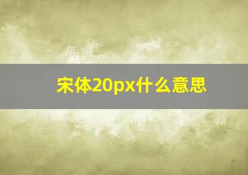 宋体20px什么意思