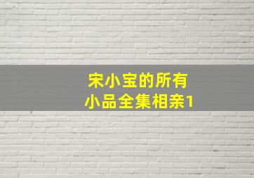 宋小宝的所有小品全集相亲1