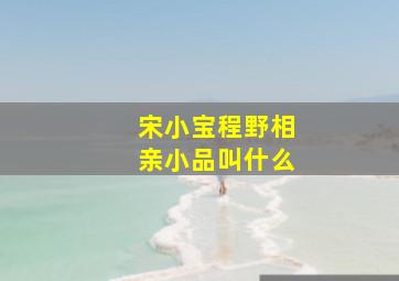 宋小宝程野相亲小品叫什么