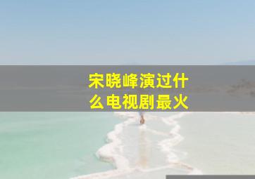 宋晓峰演过什么电视剧最火