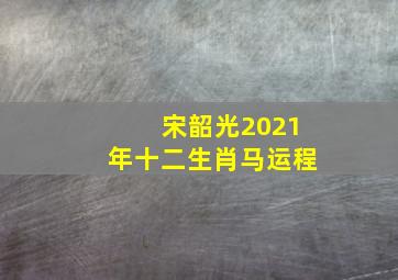 宋韶光2021年十二生肖马运程