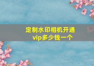 定制水印相机开通vip多少钱一个