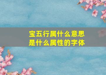 宝五行属什么意思是什么属性的字体