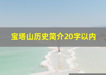 宝塔山历史简介20字以内