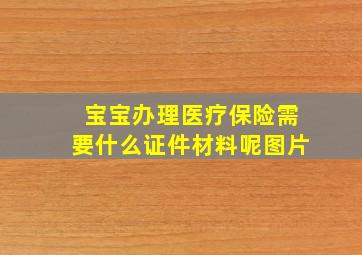 宝宝办理医疗保险需要什么证件材料呢图片