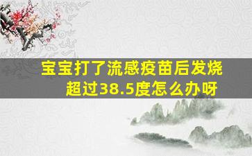 宝宝打了流感疫苗后发烧超过38.5度怎么办呀