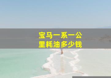 宝马一系一公里耗油多少钱