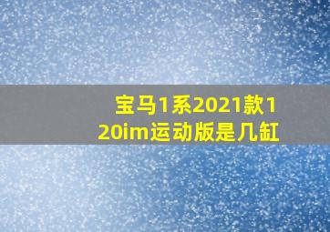 宝马1系2021款120im运动版是几缸