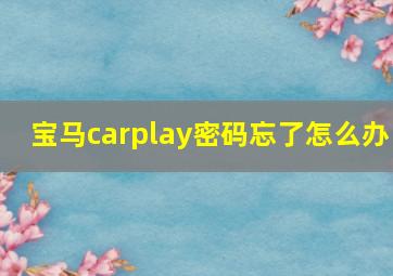 宝马carplay密码忘了怎么办