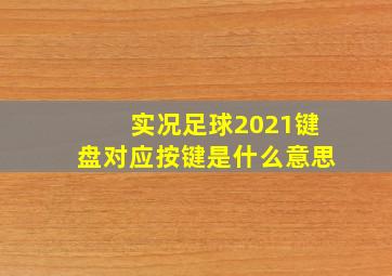 实况足球2021键盘对应按键是什么意思