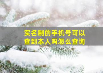 实名制的手机号可以查到本人吗怎么查询