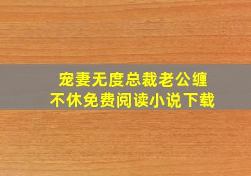 宠妻无度总裁老公缠不休免费阅读小说下载