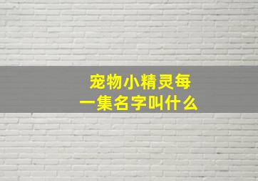 宠物小精灵每一集名字叫什么