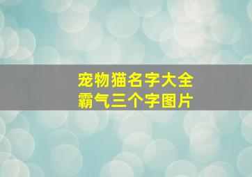 宠物猫名字大全霸气三个字图片