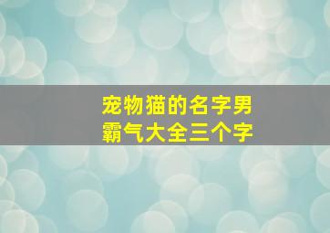 宠物猫的名字男霸气大全三个字