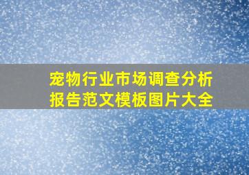 宠物行业市场调查分析报告范文模板图片大全