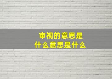 审视的意思是什么意思是什么