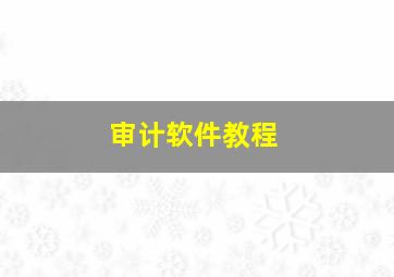 审计软件教程